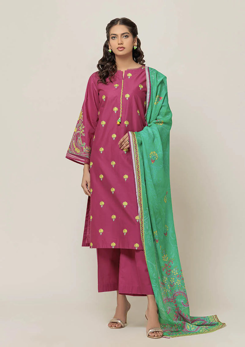 Paislay Galore - 3 PC Cambric Suit