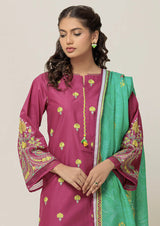 Paislay Galore - 3 PC Cambric Suit