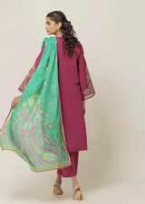 Paislay Galore - 3 PC Cambric Suit