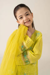 3 Piece Embroidered Lawn Suit