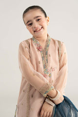 3 Piece Embroidered Poly Organza Suit