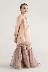 3 Piece Embroidered Poly Organza Suit