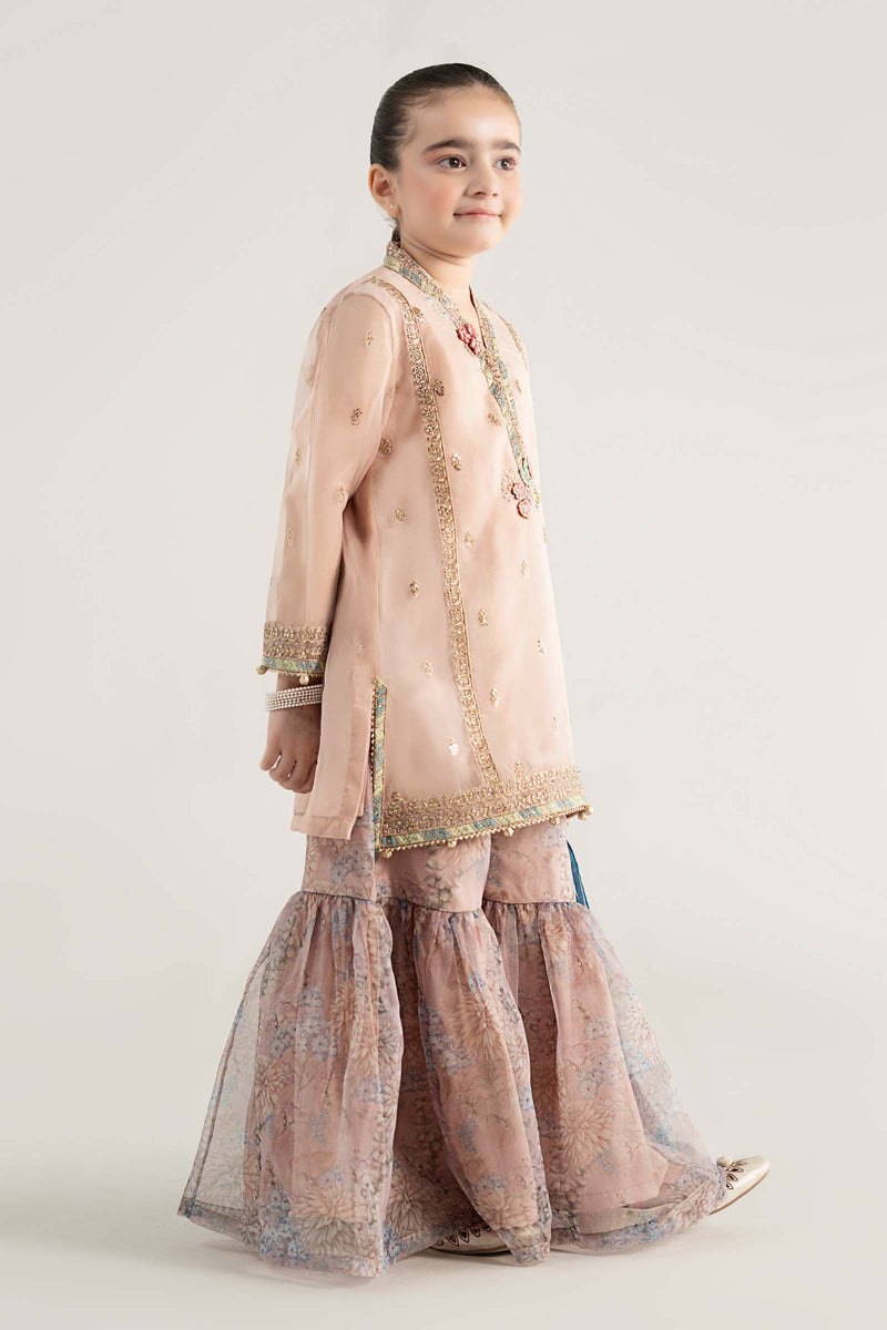 3 Piece Embroidered Poly Organza Suit