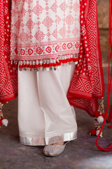 3 Piece Unstitched Printed Lawn Suit